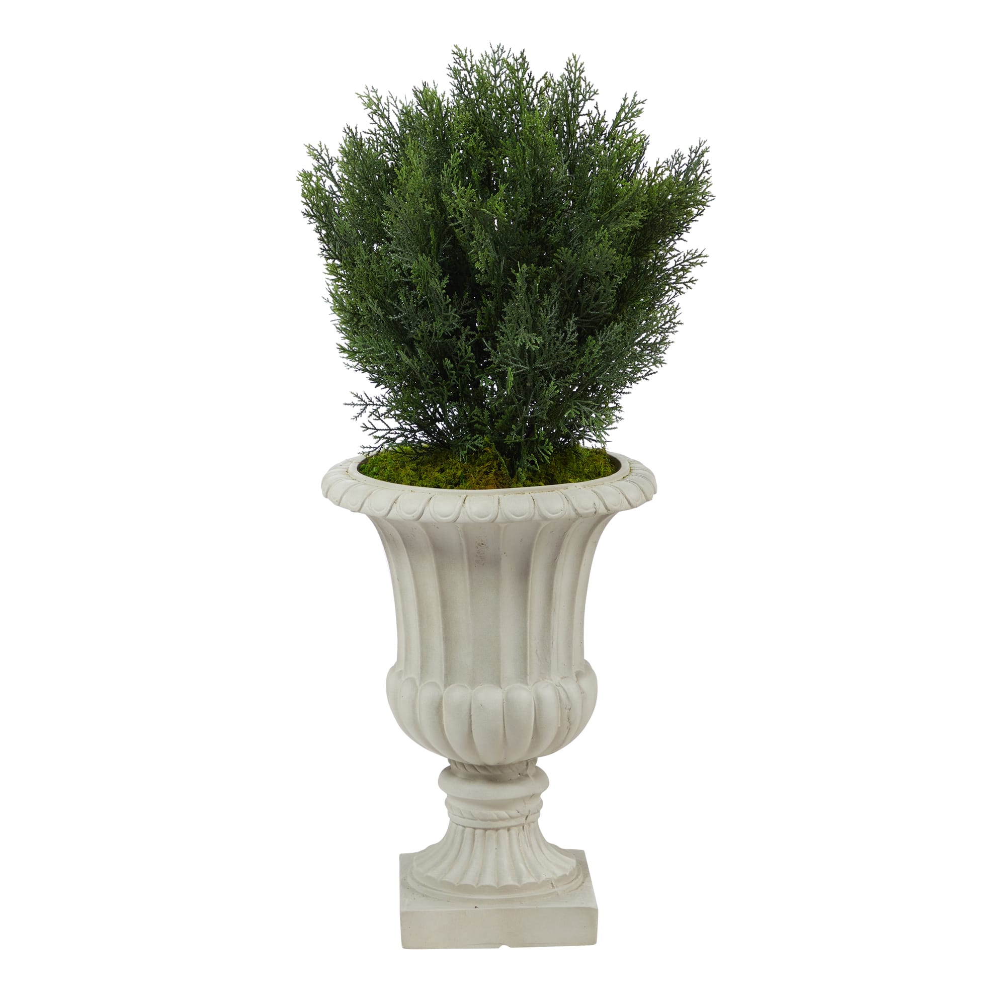3ft. Cedar Tree in Sand Finished Urn
